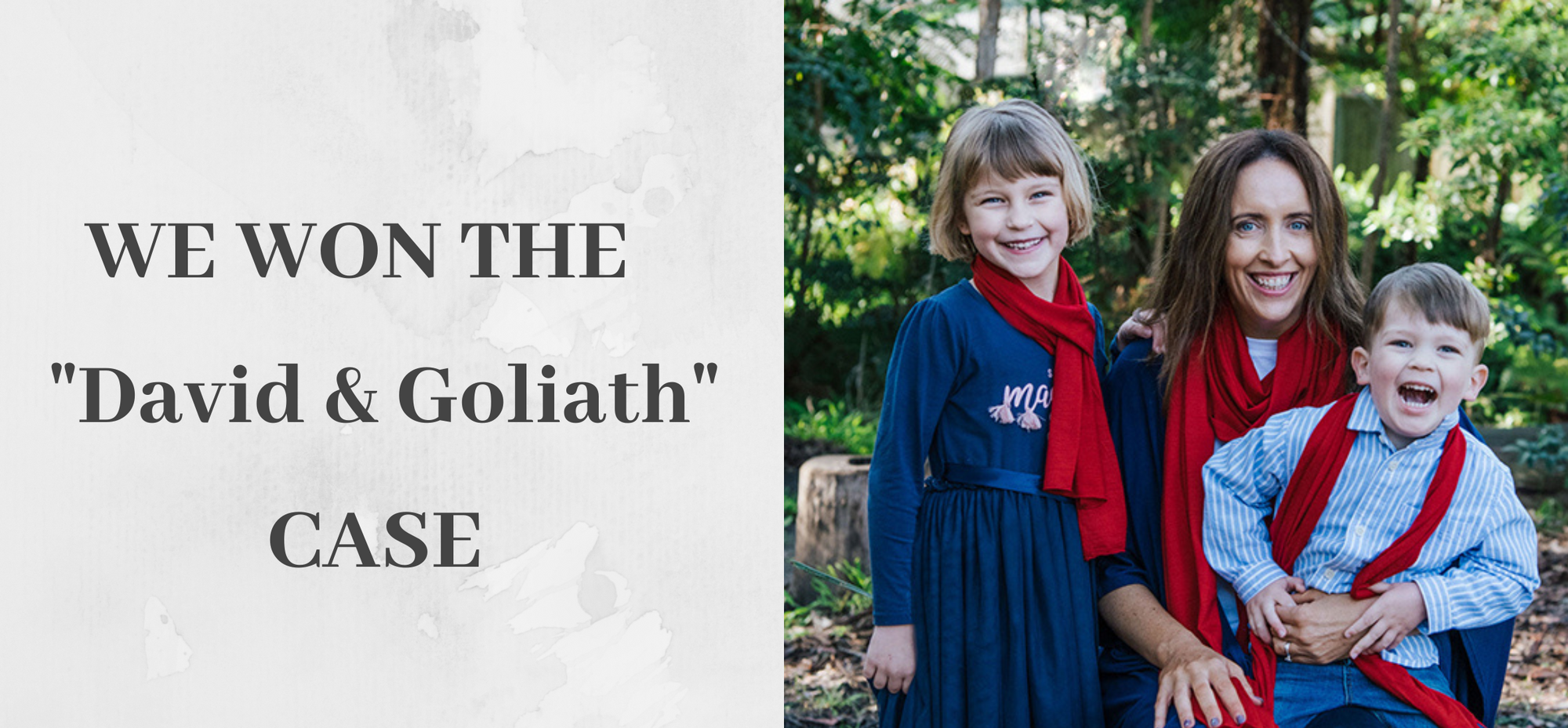 "DAVID AND GOLIATH " verdict 