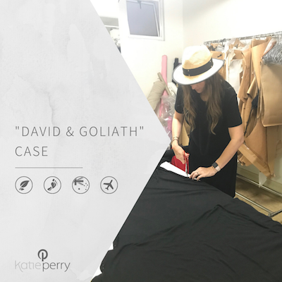 David and Goliath Case